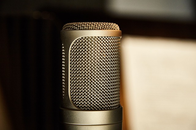 ワクセル交流会で広がる新しい縁と学び。多様なテーマで「共創」のきっかけに。